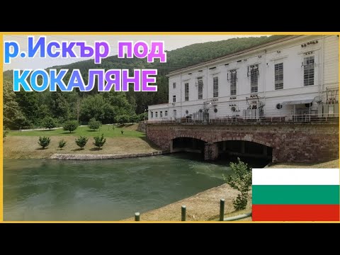Видео: СЕДМИЦА ПО-КЪСНО ОТНОВО НА РЕКА ИСКЪР ПОД КОКАЛЯНЕ  РИБОЛОВ С БУЛДО
