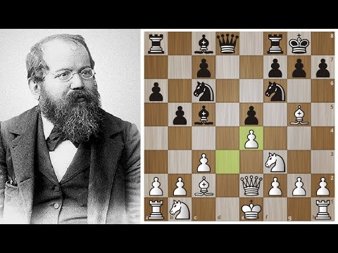 Видео: Вильгельм Стейниц, как ПАУК, затащил Чигорина в сети позиционной игры! Шахматы.