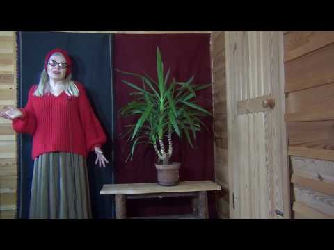 Видео: БЕЖАТЬ ЗА МУЖЧИНОЙ ОГНЕОПАСНО! ОПЫТ МОЕЙ УЧЕНИЦЫ (Ermakova-kaif)