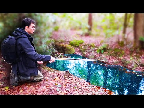 Видео: Рыбалка в крошечном ручье в заброшенном саду