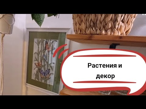 Видео: Влог о скворешниках, растениях в интерьере и первых попытках паять провода ))