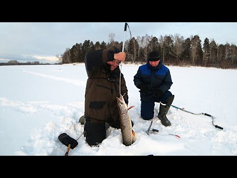 Видео: ЖОР ЩУКИ - Евгений в ШОКЕ! Секрет Постановки Жерлиц - день Второй!