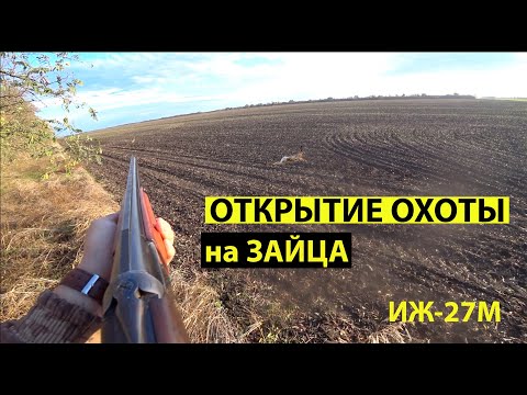 Видео: Открытие охоты на ЗАЙЦА.