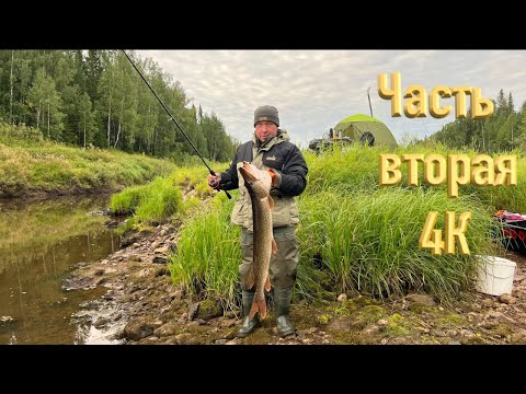 Видео: РЫБА СОШЛА С УМА, МОЩНЫЙ КЛЕВ | РЫБАЛКА НА ТАЕЖНОЙ РЕКЕ | ЖИВЕМ В ПАЛАТКЕ | ЧАСТЬ ВТОРАЯ