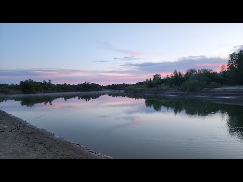 Видео: Рыбалка на реке. Сазан, Амур. 06-08.07.2025 г.