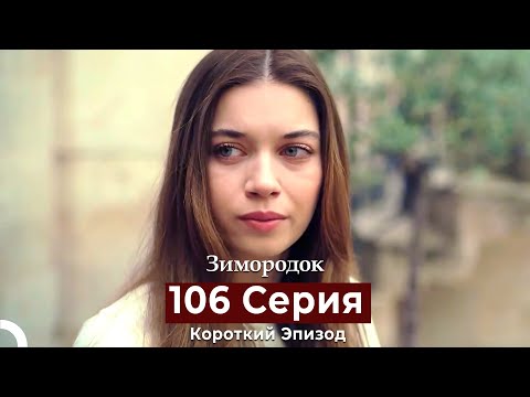 Видео: Зимородок 106 Cерия (Короткий Эпизод) (Русский дубляж)
