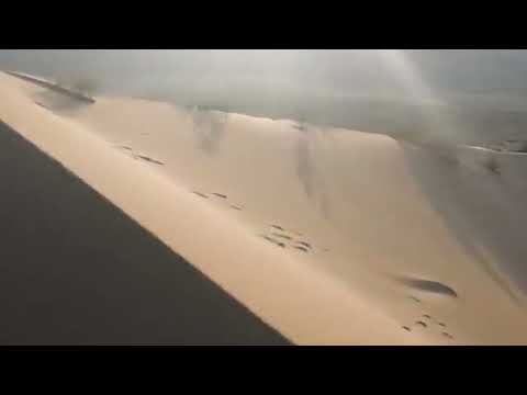 Видео: Той жыры Ташкент версия