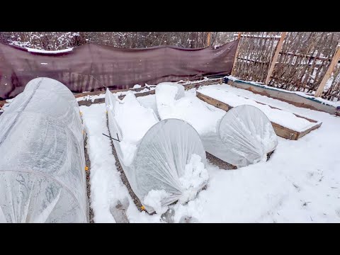 Видео: Агрил или найлон за зимата? Кое е по-подходящо?