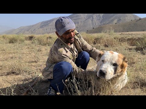 Видео: катастрофическое увечье в Борьбе за течную су×у.