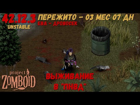 Видео: Project Zomboid I 42 билд I v. 12.3  I ПНВД I 17 стрим I 08 сезон I