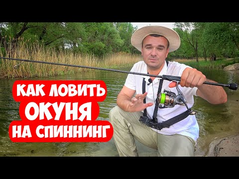 Видео: Как ловить ОКУНЯ на СПИННИНГ ВЕСНОЙ: проводка, монтаж снасти, приманки