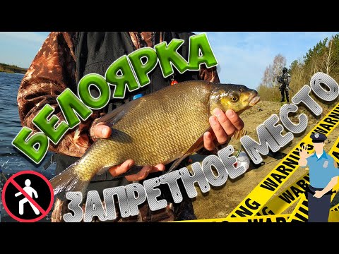 Видео: Рыбалка на леща | Белоярское водохранилище