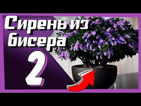 Видео: ВТОРАЯ ЧАСТЬ | Сирень из Бисера | МАСТЕР-КЛАСС по бисероплетению