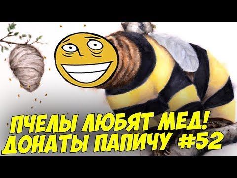 Видео: ПЧЕЛЫ ЛЮБЯТ МЕД! ДОНАТЫ ПАПИЧУ #52