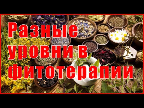 Видео: Разные уровни в фитотерапии
