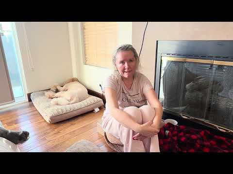 Видео: Пипонька проснулась не с той лапки #losangeles 