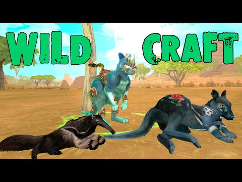 Видео: Покупаем Club Pass в WildCraft