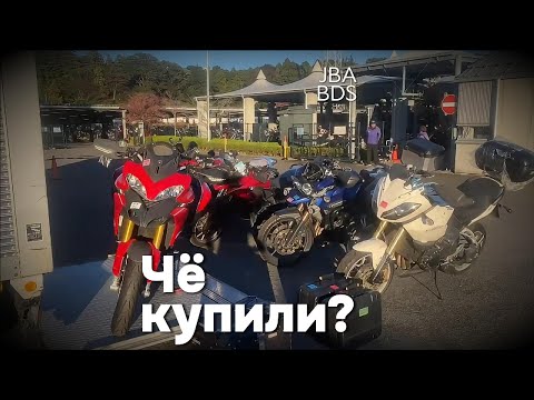 Видео: Чё купили? Тигриные стаи