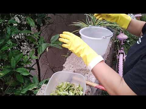 Видео: ПРО ПЕНСИЮ В ИТАЛИИ. И КАК ОЛИВКИ ПОСОЛИТЬ?