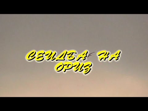 Видео: СЕИДБА НА ОРИЗ