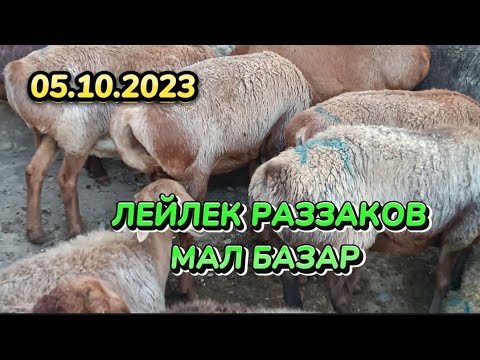 Видео: ЛЕЙЛЕК РАЗЗАКОВ ИСФАНА МАЛ БАЗАР 05.10.2023