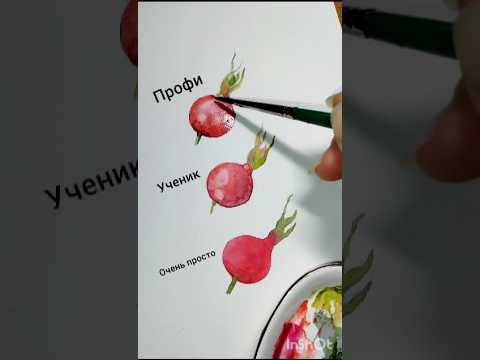 Видео: От простого к сложному. Шиповник акварелью #art #живопись #painting #акварельнаяживопись #акварель