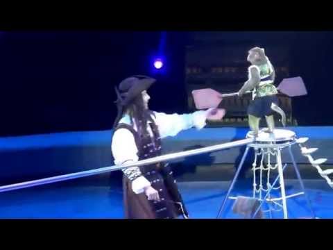 Видео: Дрессированные обезьяны п/р Вильдана Якубова и Марии Смольской. Идол 2015
