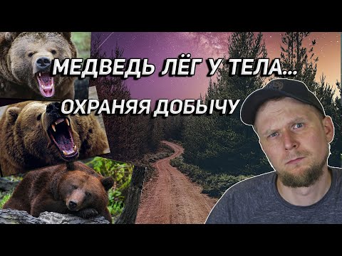 Видео: МЕДВЕДЬ ОХОТИЛСЯ НА ТУРИСТОВ. Случай в Ергаках.