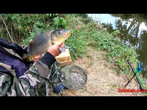 Видео: Най-добрите излети за 2021г.