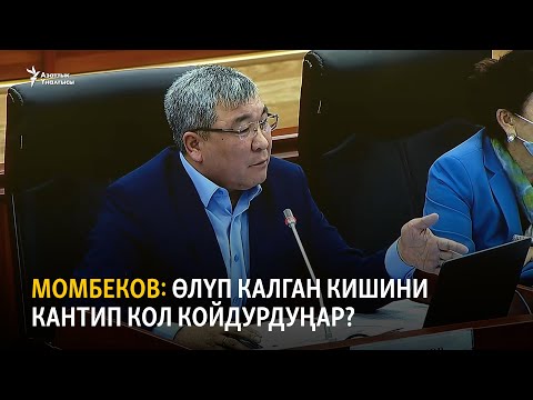 Видео: Момбеков: Азыркы Конституциянын автору ким?