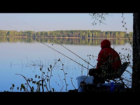 Видео: Рыбалка с Ночевкой на Чигиринском Водохранилище. Ловлю на Чесночные Пуфики. Лещ на Фидер.