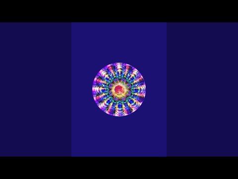 Видео: Роза Муза в прямом эфире!