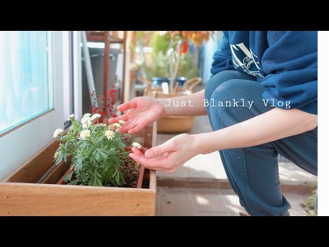 Видео: Яркие моменты жизни🌞