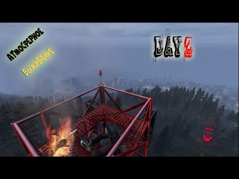 Видео: 🎥 Day 2/Жизнь после вайпа /Veles #dayz #stream_dayz #вфня #стрим_дэйз