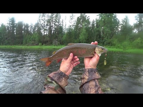 Видео: По притоку р.Лены. Не предсказуемая рыбалка по Большой воде. Жаренный хариус в кукурузной муке.