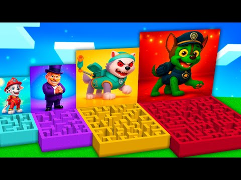 Видео: НАШЕЛ ЛАБИРИНТЫ ВСЕХ ЩЕНЯЧИЙ ПАТРУЛЬ ПОРТАЛ ПОДВАЛ в МАЙНКРАФТ PAW PATROL МУЛЬТИК