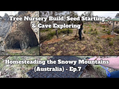 Видео: Строительство питомника, выращивание семян и исследование пещер | Homesteading the Snowy Mountain...