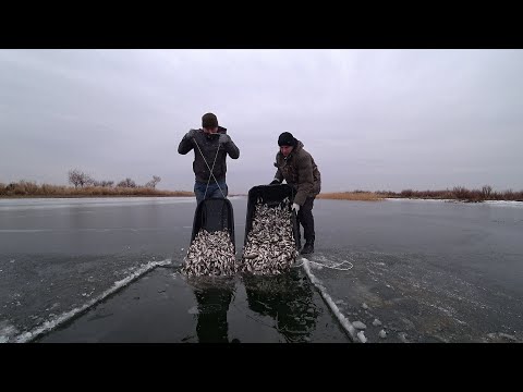 Видео: СПАСЛИ ТОННЫ МАЛЬКА: Замор молоди в Атырауской области