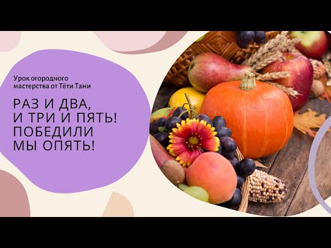 Видео: Раз и два, и три и пять! Победили мы опять!