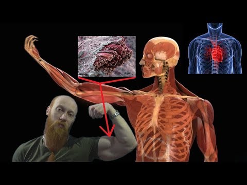 Видео: Генетические монстры!!! Тайны раскрыты