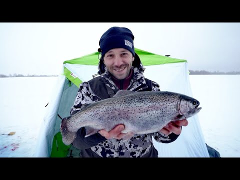 Видео: Как НЕ поймать КАРПА зимой и наловить Форели! Рыбалка с комфортом в палатке на поплавок со льда!