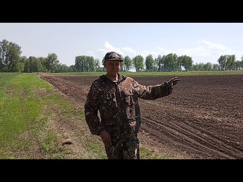 Видео: №24 Сеем: пыль, жара, вопрос? Озимые 2020