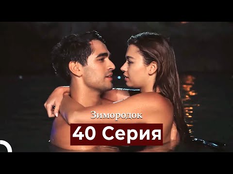 Видео: Зимородок 40 Cерия (Русский дубляж)