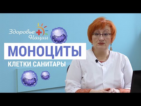 Видео: Почему моноциты повышены у взрослых и детей?