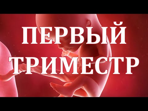 Видео: Первый Триместр Беременности. Риски для Плода .