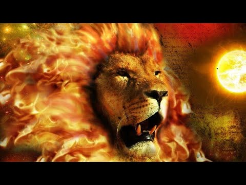 Видео: Лев
