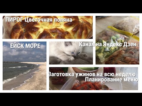 Видео: Планирование и заготовка ужинов на всю неделю/Пирог Цветочная поляна/Канал на Яндекс Дзен/Ейск-море