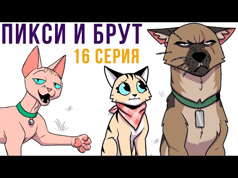 Видео: Пикси и Брут. 16 серия. Комиксы | Мемозг 724