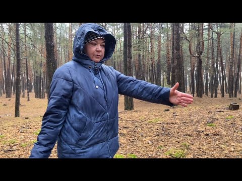 Видео: 🍄‍🟫Грибной сезон не заканчивается! Ужас,просто белый волк,я бы тоже испугался! Светлана заблудилась!