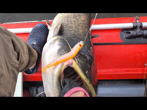 Видео: Монстр в лодке!!! Интервью с Виталием Головиным.